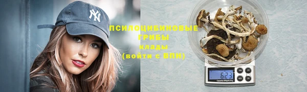 таблы Алзамай
