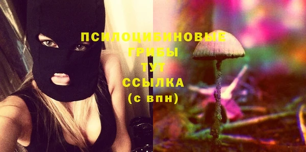 таблы Алзамай