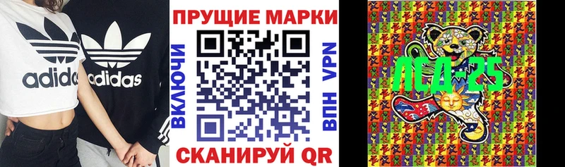 блэк спрут tor  Гурьевск  Наркотические марки 1,5мг  купить закладку 