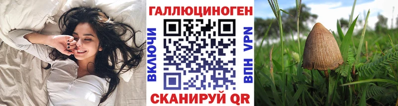 Псилоцибиновые грибы Cubensis  даркнет сайт  Гурьевск 