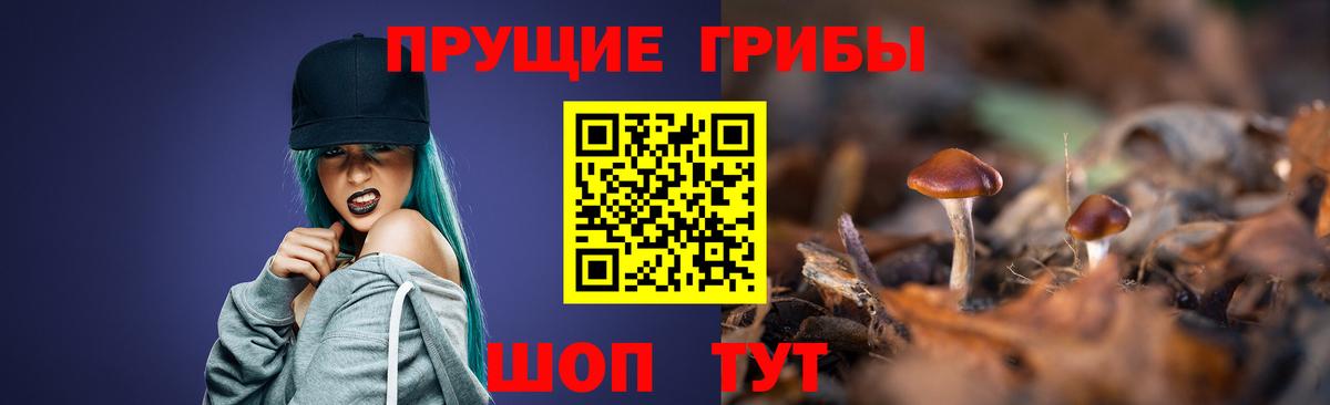 Псилоцибиновые грибы Psilocybe  Вход с VPN  Галлюциногенные грибы прущие грибы  Гурьевск 